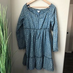 Lands’ End Denim Dress